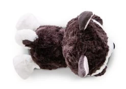 Nici 46926 Glubschis Cute Husky Barkley Liegend 25cm Plüsch Kuscheltier -Nici 46926 03 ZA Frei 2048x1439