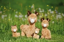 Nici 48608 Alpaka Al Paka 48cm Stehend Plüsch Kuscheltier GREEN -Nici 48606 12 48604 48602 48608 Milieu 2048x1366